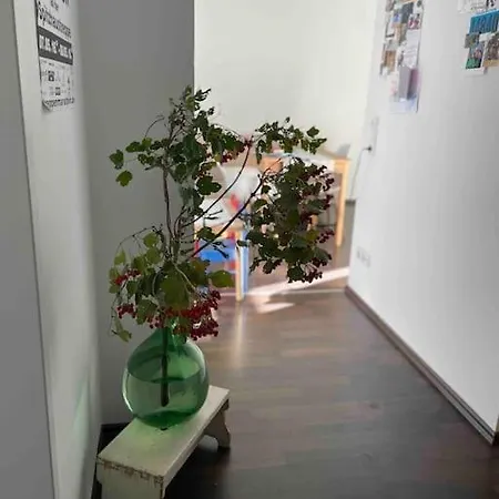 Apartement Neustadt/hechtviertel دريسدن